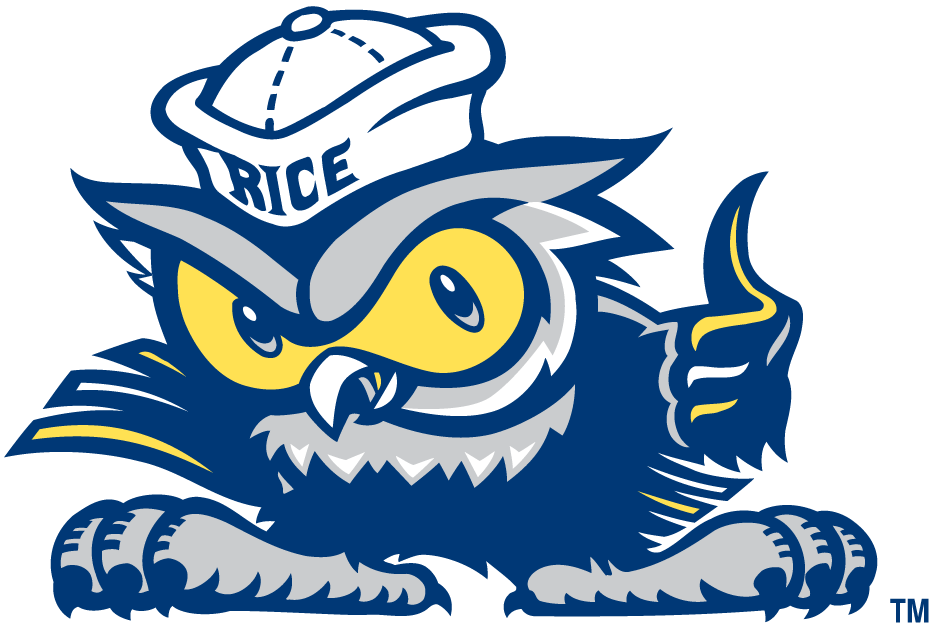 Rice Owls 2003-2009 Misc Logo diy iron on heat transfer